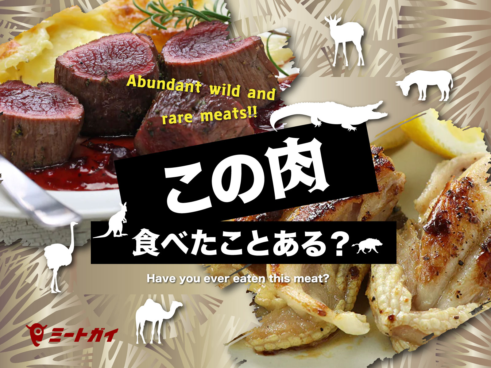 この肉 食べたことある?