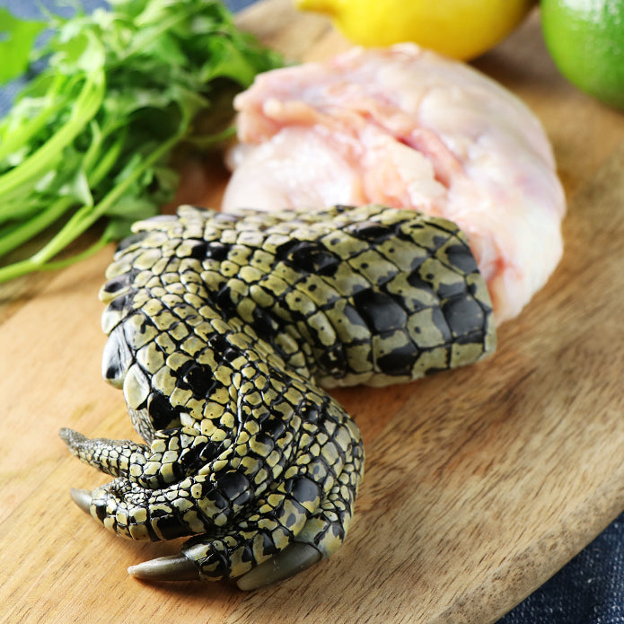 One Australian Crocodile Claw (120g)