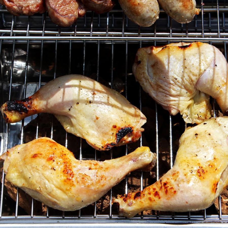 送料無料 極 インパクト絶大!BBQセット 2.6kg 6-10人前