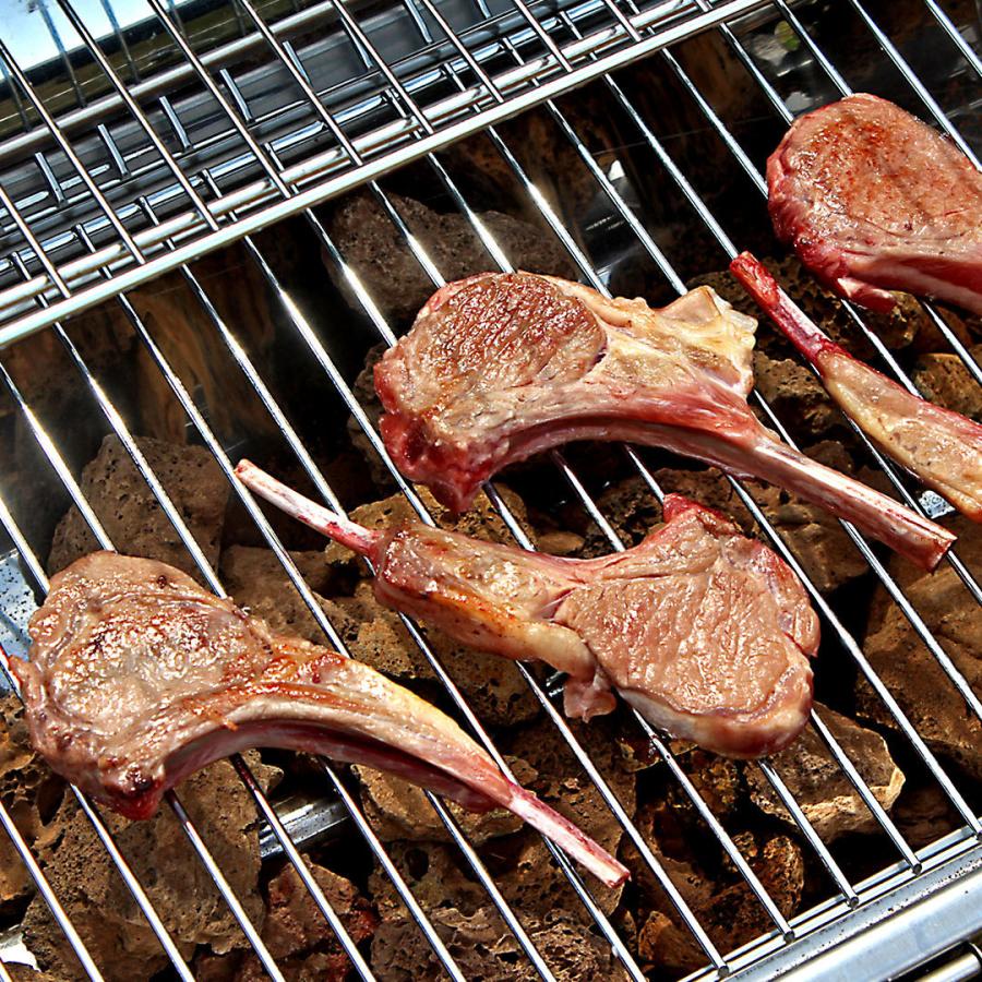 送料無料 極 インパクト絶大!BBQセット 2.6kg 6-10人前