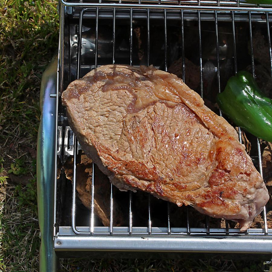 送料無料 極 インパクト絶大!BBQセット 2.6kg 6-10人前