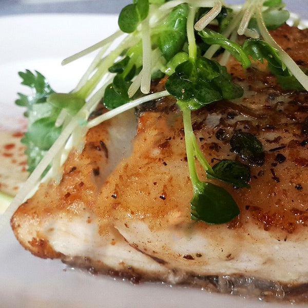 Frozen Pangasius Fillet (1kg)